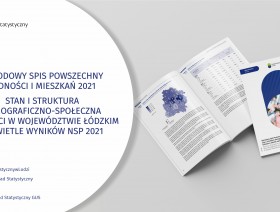 NSP 2021 - Demographic and social structure of the population in the Łódź Voivodeship