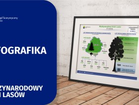 Infografika 2025 - Dzień Lasów 21 marca