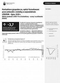 Koniunktura gospodarcza w lipcu 2020 r.