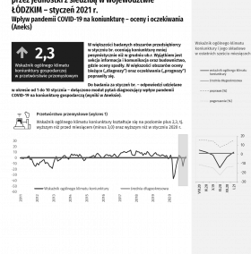 Koniunktura gospodarcza w styczniu 2021 r.